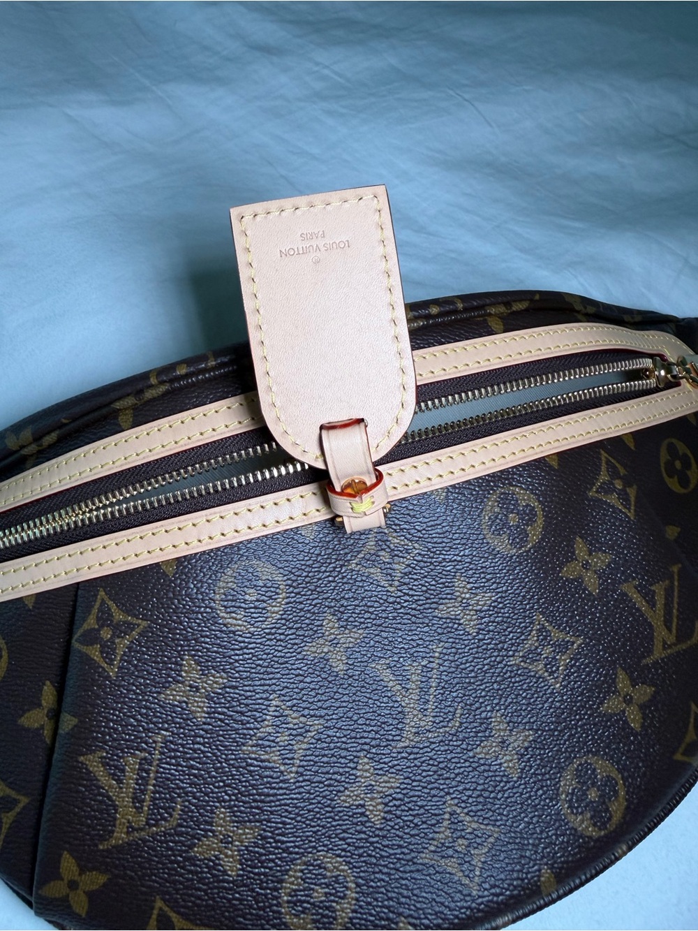 Louis Vuitton Monogram High Rise Bumbag - Picture 4 of 6